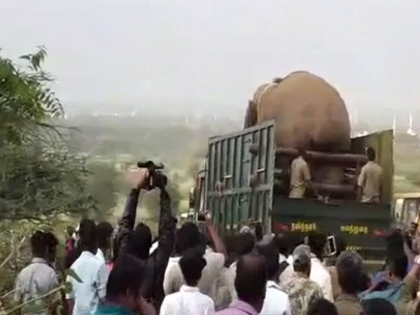 விடை கொடு மனமே