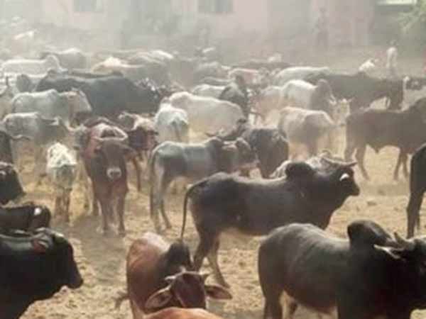 மாணவர்கள் தவிப்பு