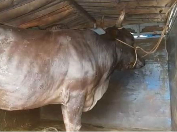 வாயே திறக்கவில்லை