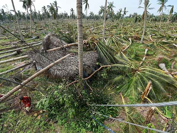 Union government releases interim relief fund to cyclone affected TN Union government releases interim relief fund to cyclone affected TN