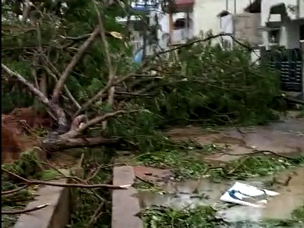 TN govt releases gaja cyclone affected places list TN govt releases gaja cyclone affected places list