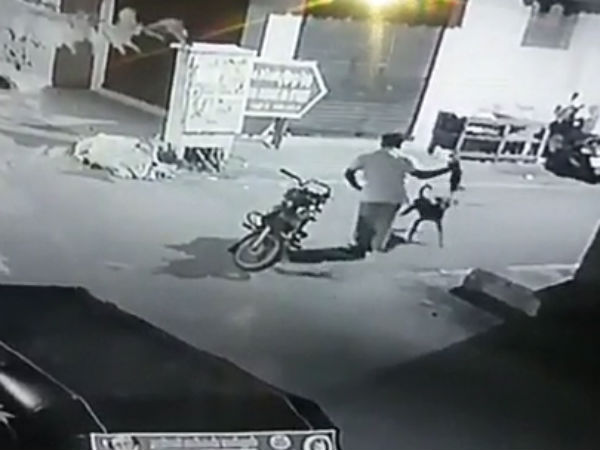 Police arrested a man who attacked a dog in Chennai Police arrested a man who attacked a dog in Chennai