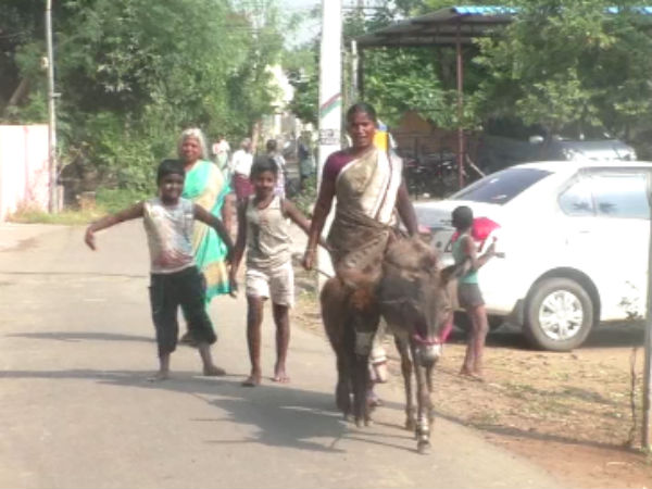 கிருமி நாசினி