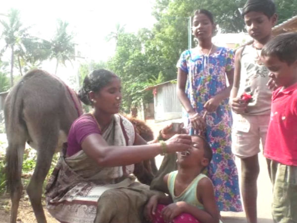 நோய் நொடி அண்டாது