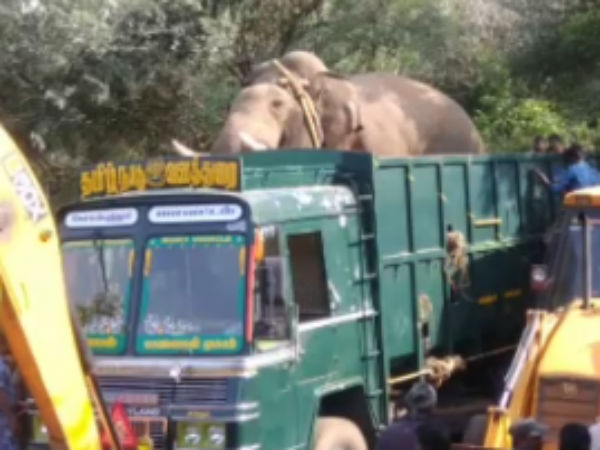 அமைதியான டைப்