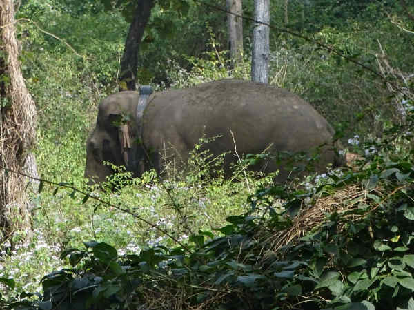 மாயமாகி விட்டது