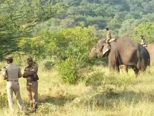 சின்னதம்பி மட்டும்தான்