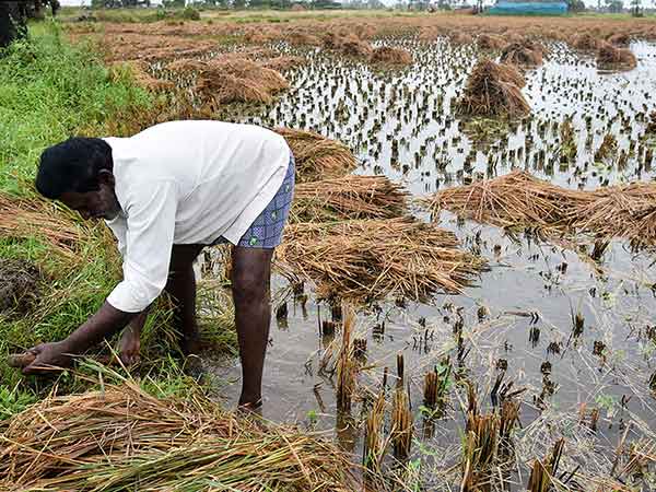 புரட்சி
