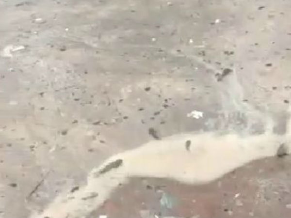 காற்றின் வேகம்