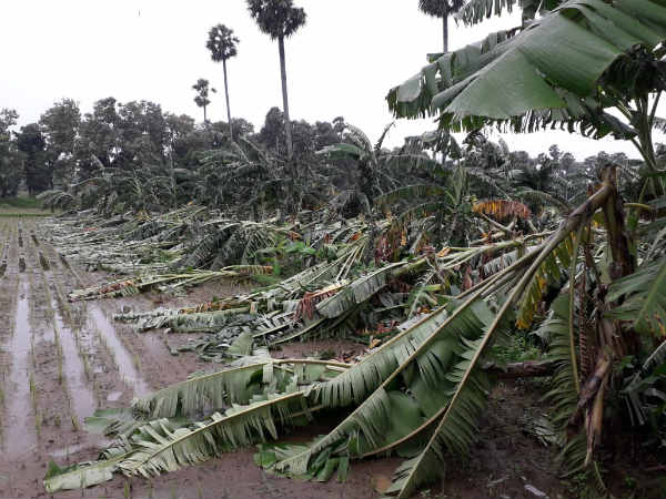 Gaja cyclone impact: Union Agriculture minister sanctioned 170 crores to Tamilnadu Gaja cyclone impact: Union Agriculture minister sanctioned 170 crores to Tamilnadu