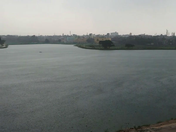 மிதக்கும் தீவு