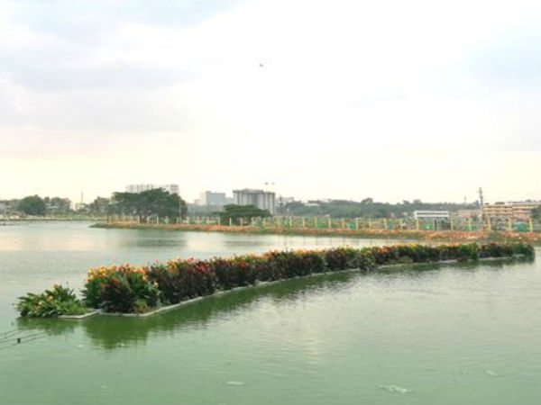 எவ்வளவு பெரியது