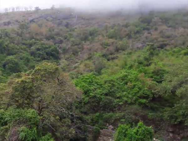 விசாரணை