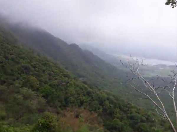 பனிமூட்டம்