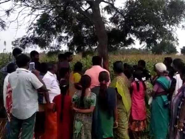 வீடியோ, ஆடியோ
