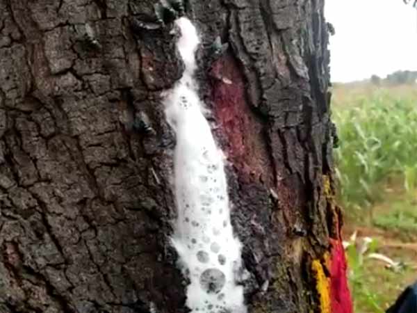 நிறைய வழிகிறது