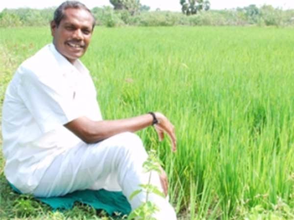 விளைச்சல்
