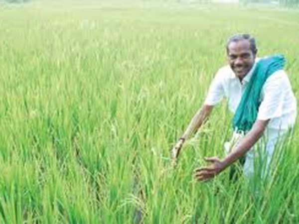 கார்ப்பரேட் இளைஞர்கள்