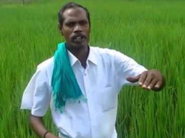 கீரை பயிரிட்டு தா