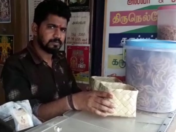 தென்னை ஓலைகள்