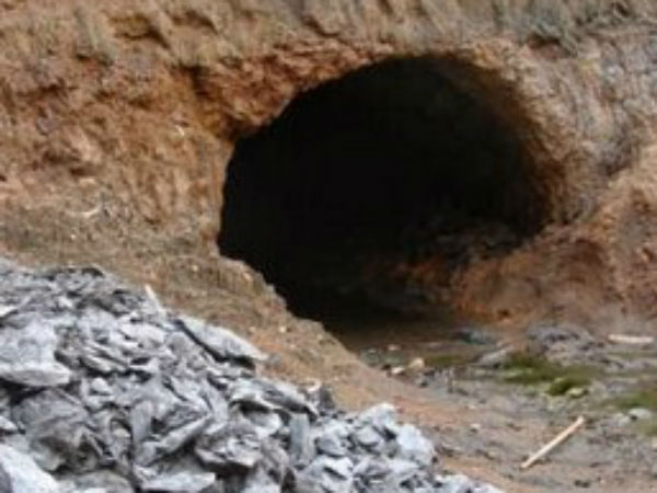 தடை செய்தது