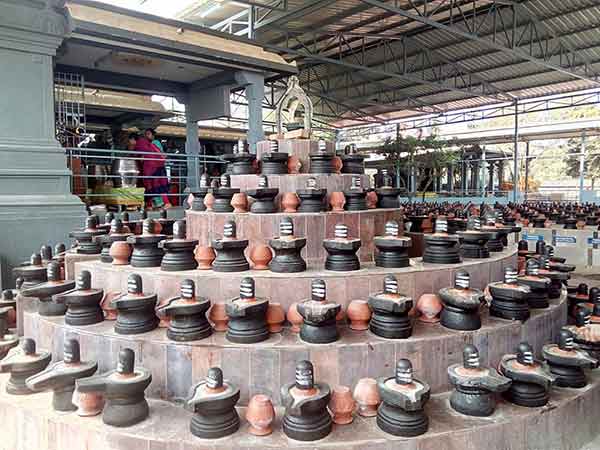 தம்பதியர் ஒற்றுமை