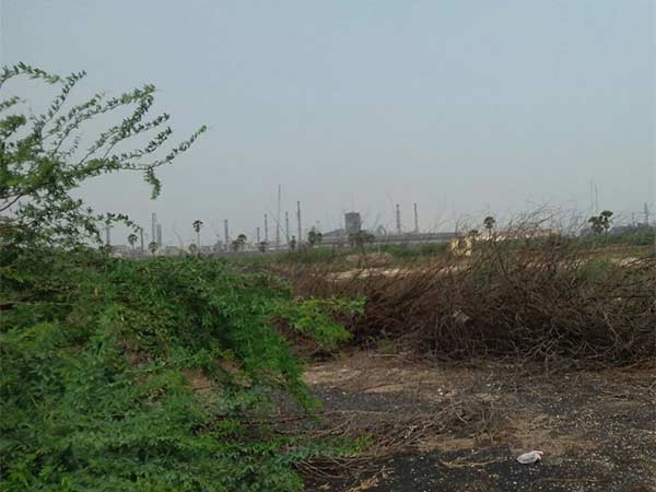 சொன்ன எதிர்க்கட்சிகள்