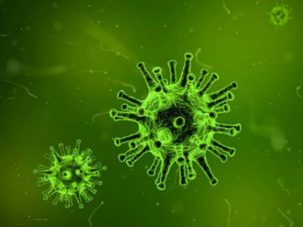 Two died of swine flu in Coimbatore Two died of swine flu in Coimbatore