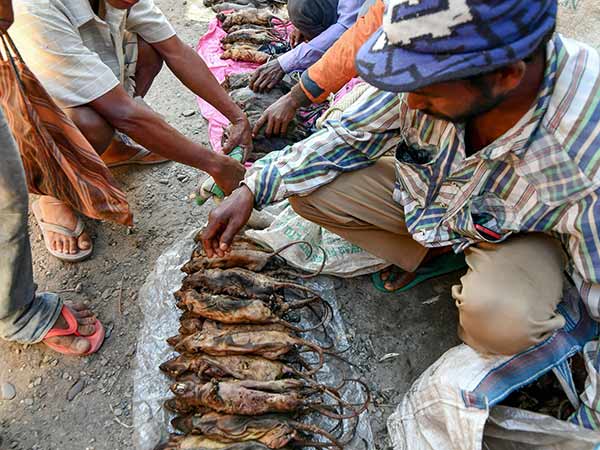 பாரம்பரிய உணவு:
