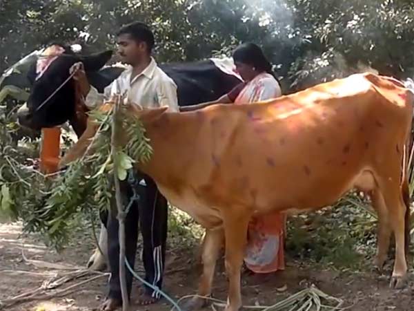 வேளாண் கருவிகள் சுத்தம்
