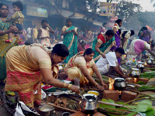 The Final Day celebration begins: Kaanum Pongal celebrates in Tamilnadu The Final Day celebration begins: Kaanum Pongal celebrates in Tamilnadu