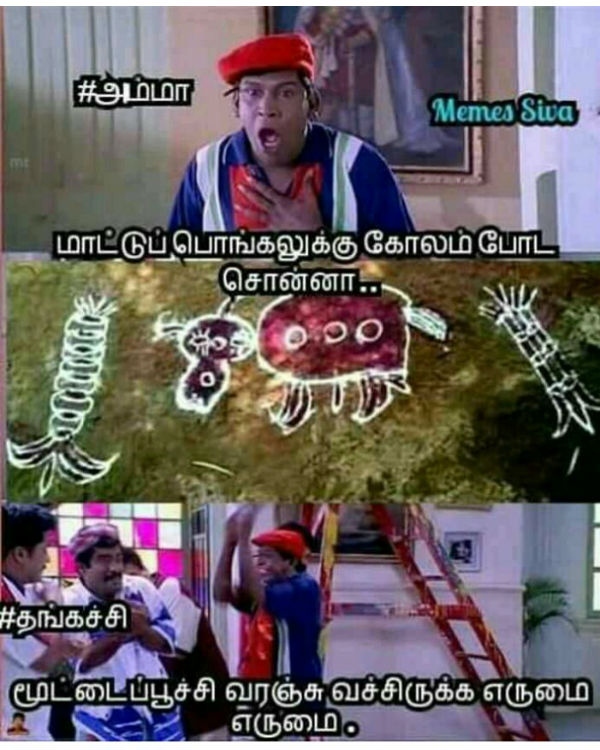 Memes on Mattu pongal Memes on Mattu pongal