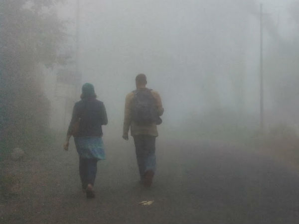 உயிர் பிழைத்தார்கள்