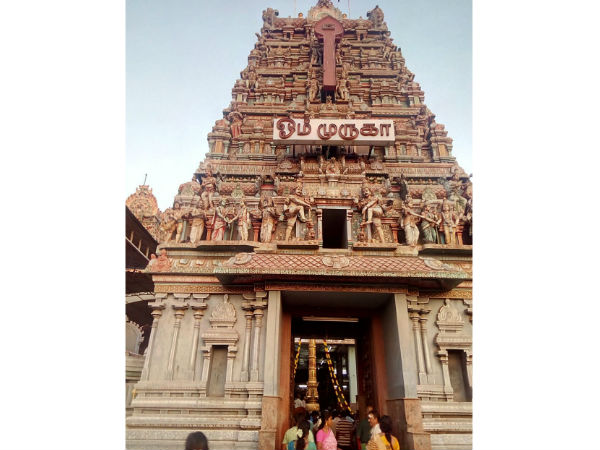 குழந்தை செல்வம்