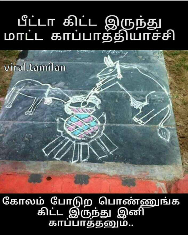 Memes on Mattu pongal Memes on Mattu pongal