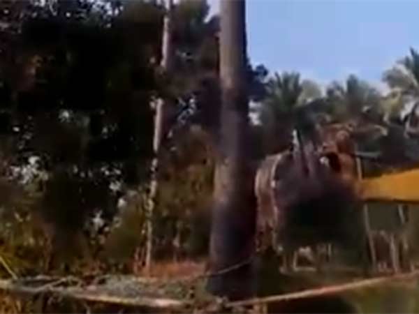 வலையை விரித்தனர்