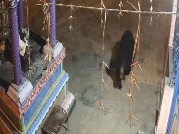 எண்ணெய் பாட்டில்