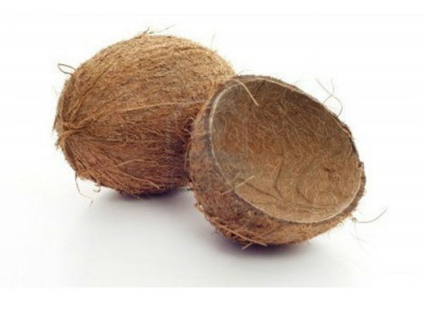 தேங்காய் சிரட்டைகள்:
