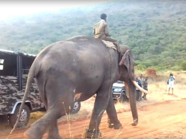 மீண்டும் விரட்டும் வேலை