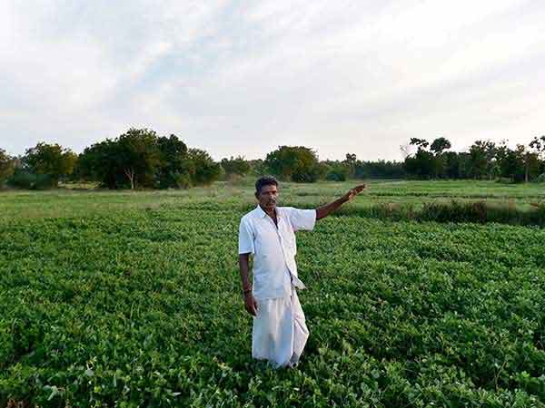 இரண்டு ஒன்று கிடையாது