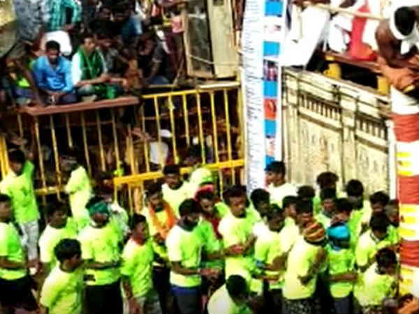 காளைகள் முட்டின