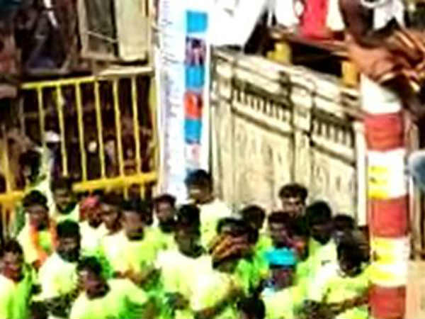 ஜல்லிக்கட்டு போட்டி தொடக்கம்