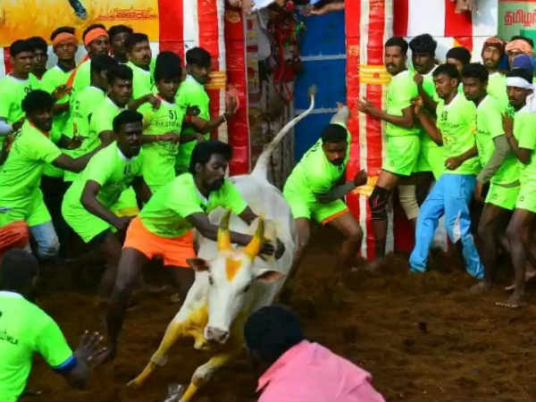 பரிசு மழை