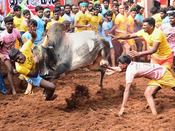 துவங்கியது