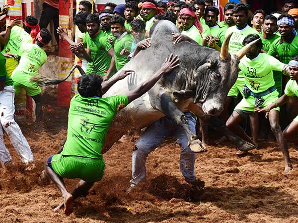 கலெக்டர் நடராஜன்