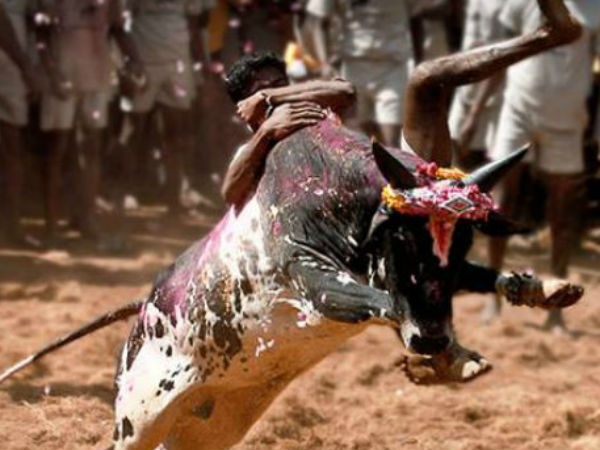 பரிசு மழை