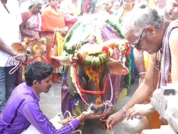 கோவிற்கு சர்க்கரை பொங்கல்