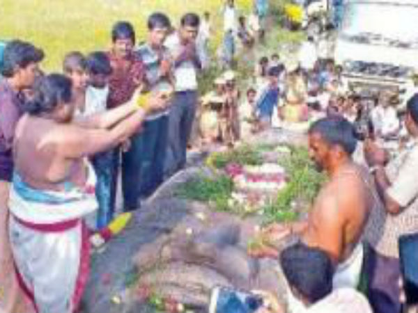 செல்பிகள்