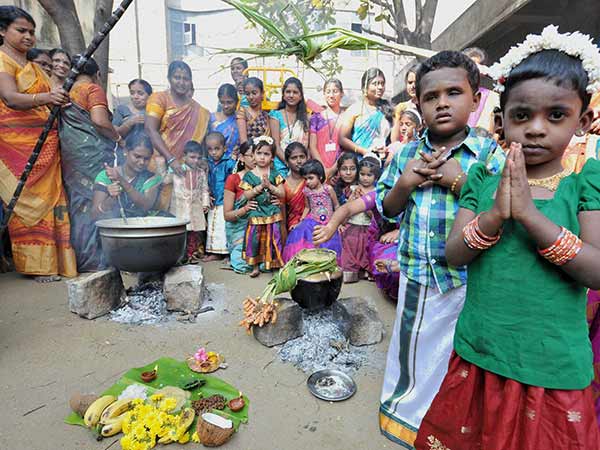 பொங்கல் வாழ்த்து