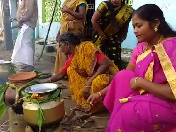 தமிழர் திருநாள் கொண்டாட்டம்